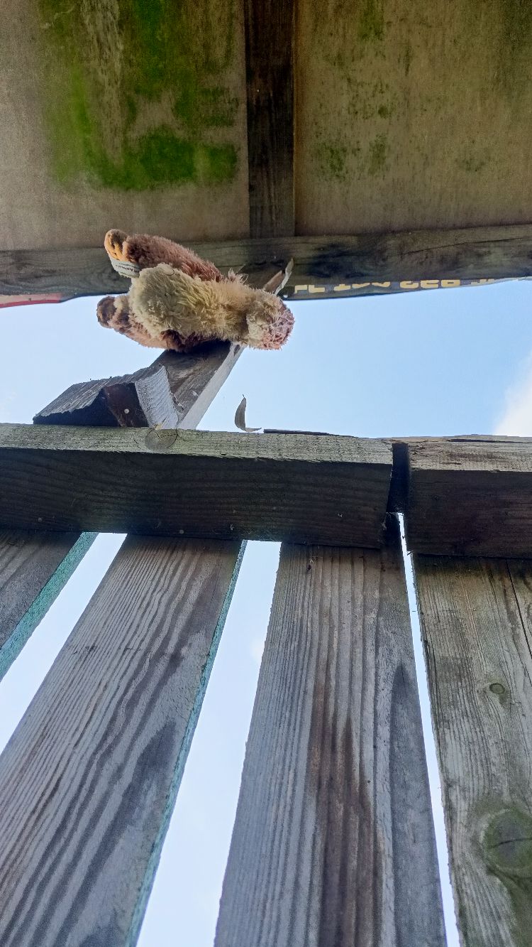 GURU W OPARACH ILUZJI