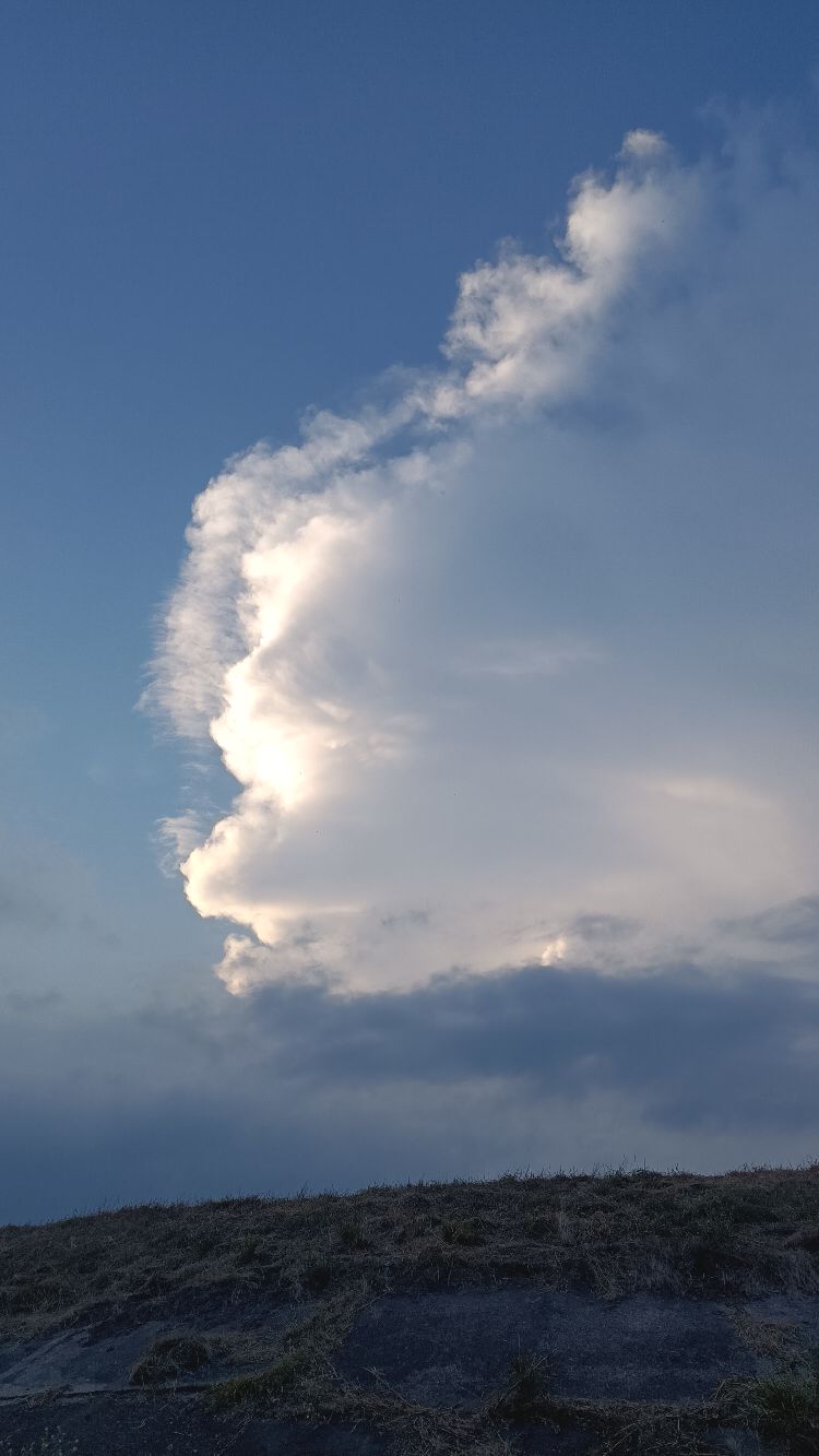 Obudź się z roli! Dzisiejszy sen